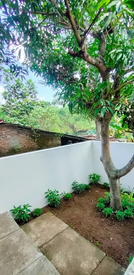 Rumah Dingawi