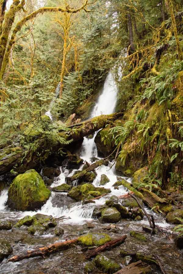 Chasing Waterfalls in