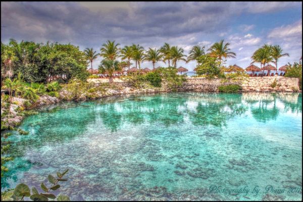 Island Paradise on