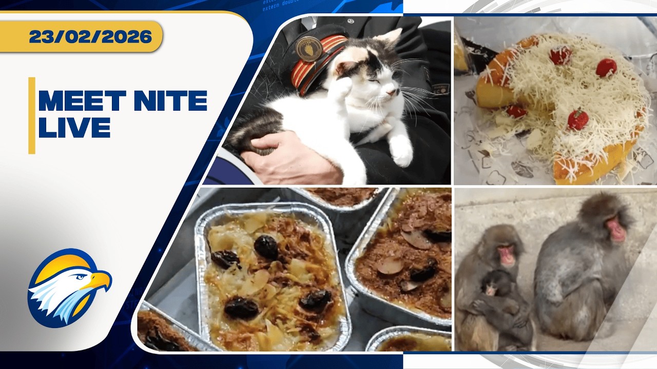 Ramadan Makin Meriah, Tama & Punch Makin Populer | Meet Nite Live